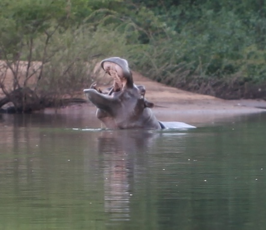 SENEGAL