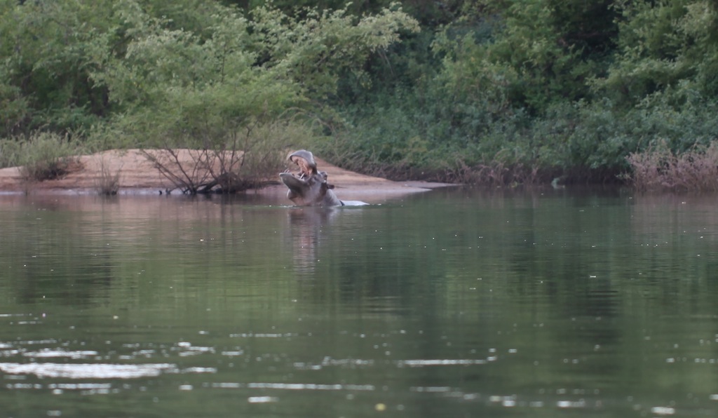 SENEGAL