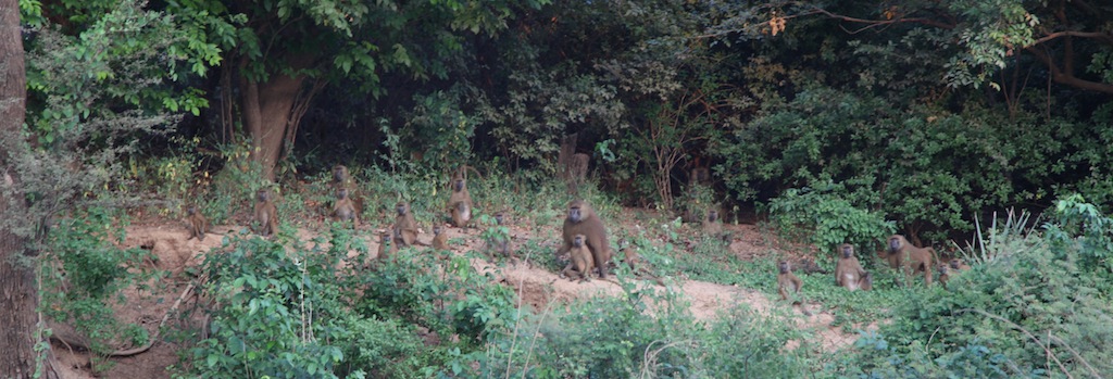 SENEGAL