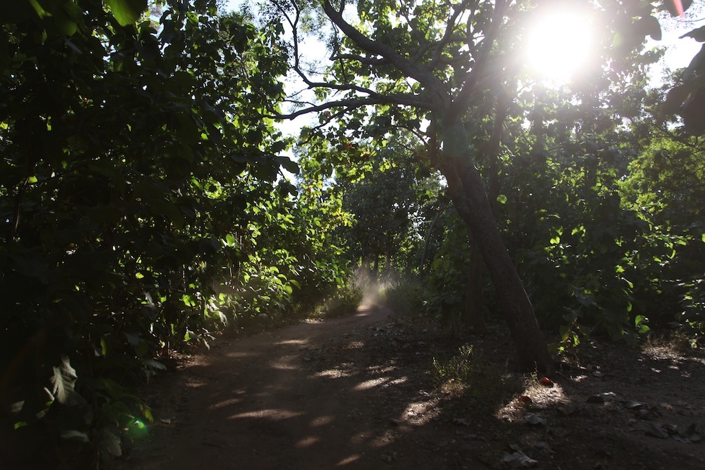 SENEGAL