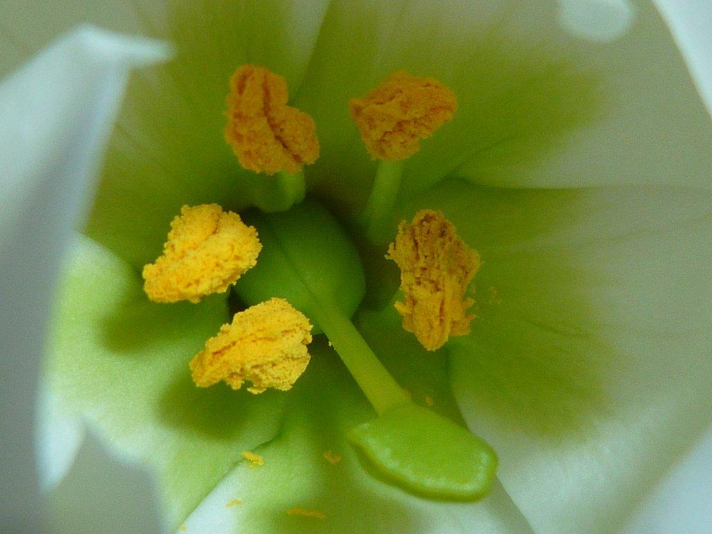 P1080671