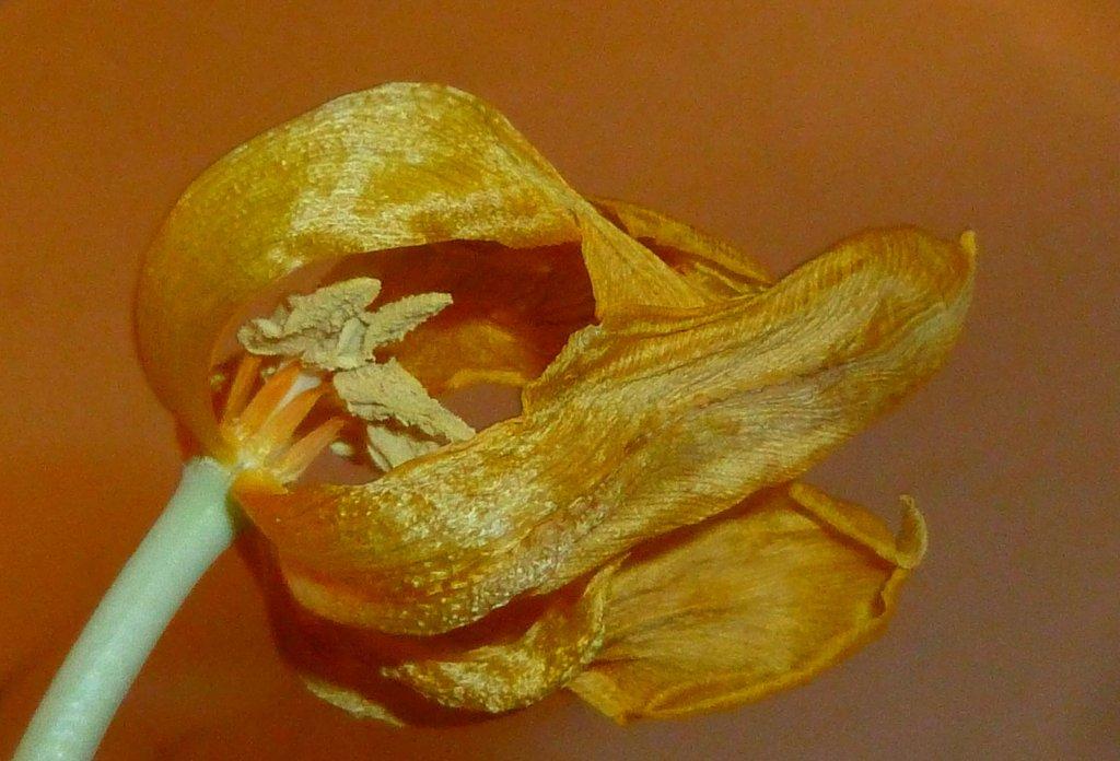 P1080713