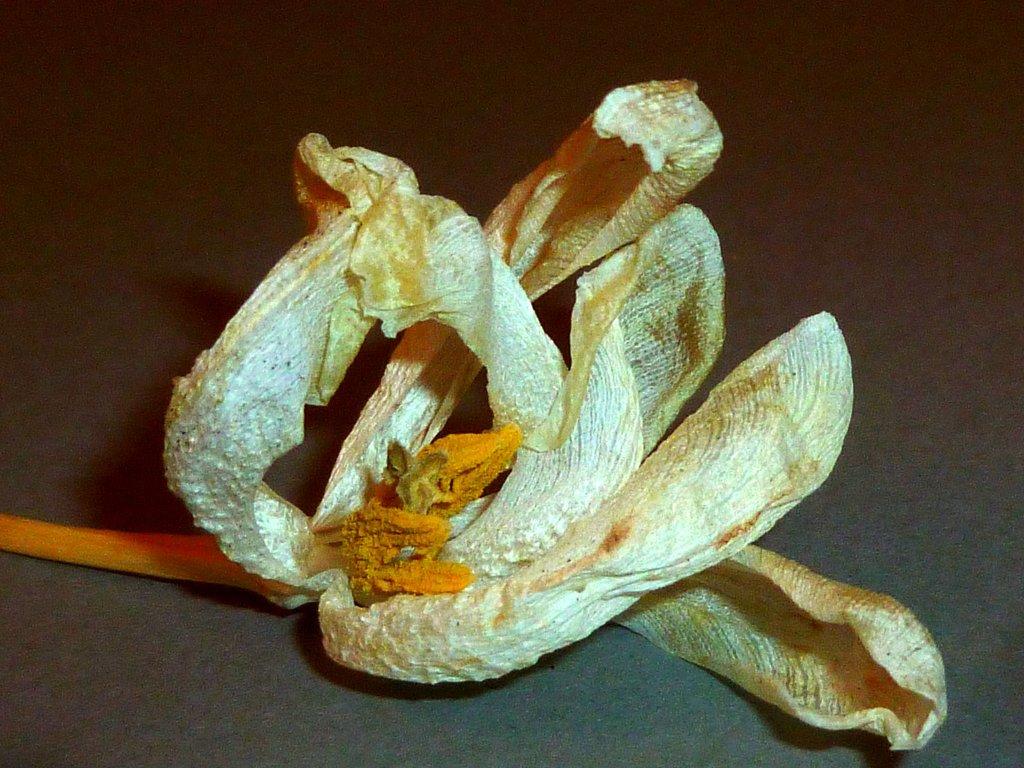 P1080762