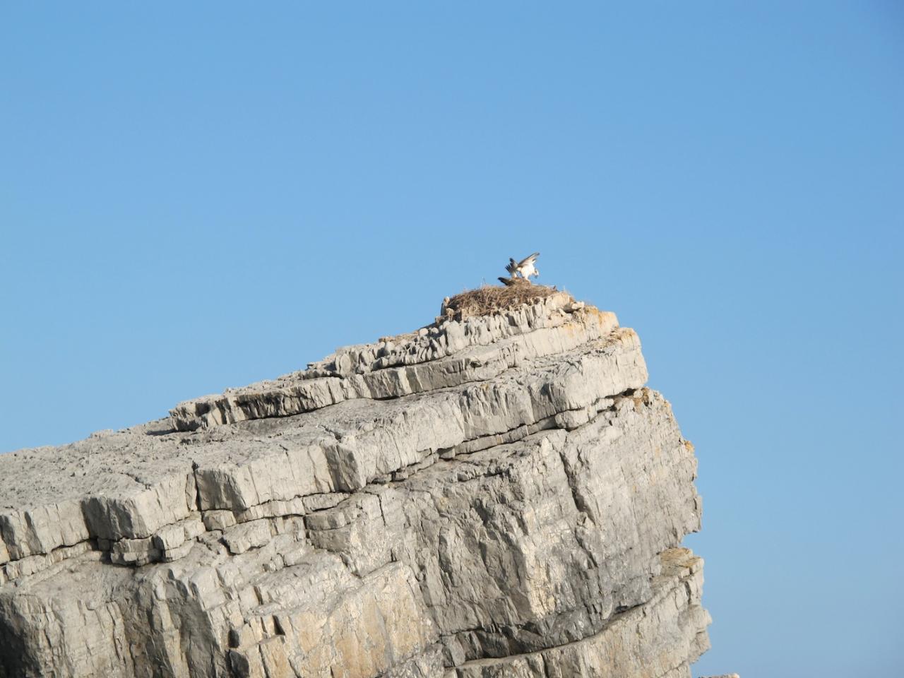 vue terrestre Oman (3)