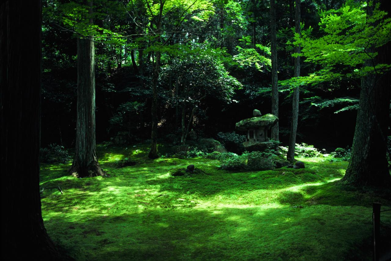 jardin Secret