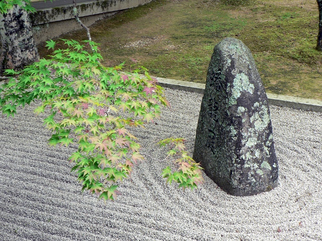 Jardin Témoin