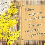 Dictons du mois de mars